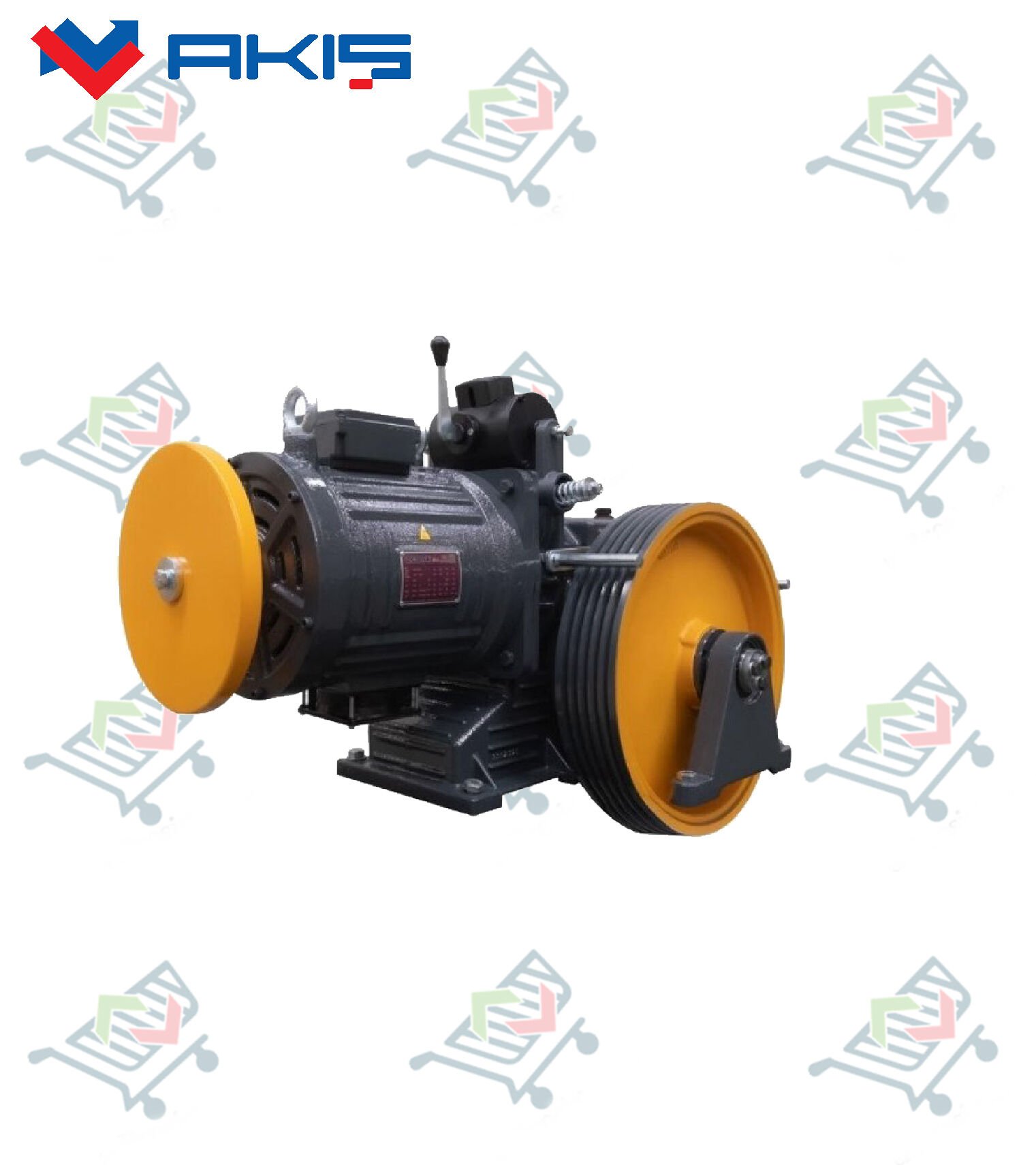 Akış LEONEX LNX-90 1,00 M/S 800 KG 7,5KW 17(A) Asansör Motoru