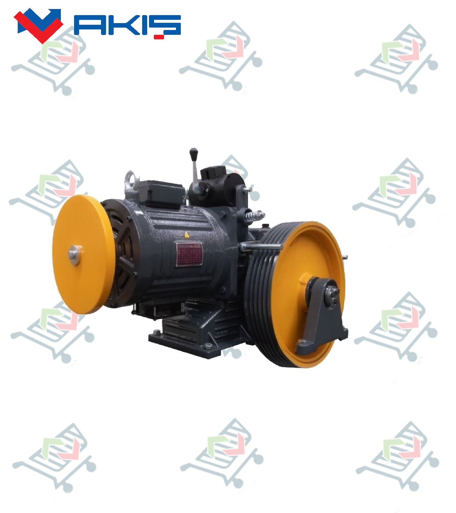 Akış LEONEX LNX-90 1,60 M/S 450 KG 5,5KW 13(A) Asansör Motoru